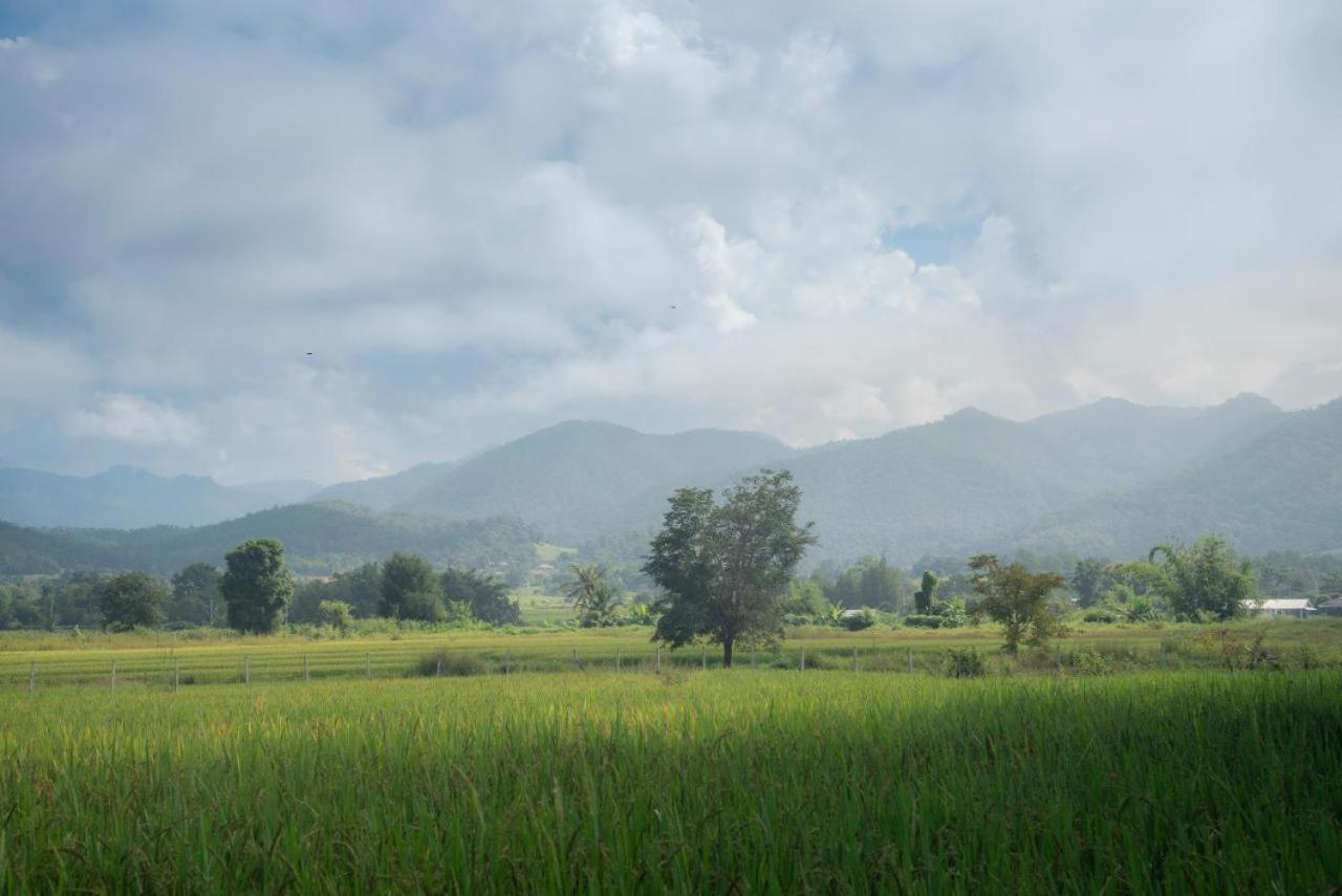 Camp View Mountain - Sell Experience By Paddy Fields Haven - Natures Nest Пай Экстерьер фото